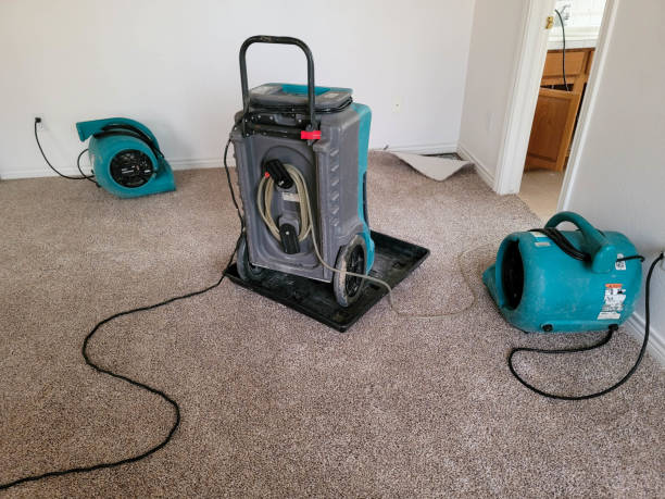  Fellsmere, FL Water damage restoration Pros