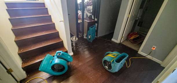 Best Sewage cleanup and water damage restoration  in Fellsmere, FL