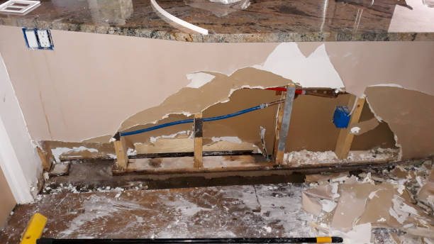 Best Flooded house restoration  in Fellsmere, FL