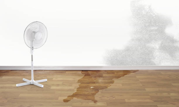 Best 24/7 water damage repair  in Fellsmere, FL