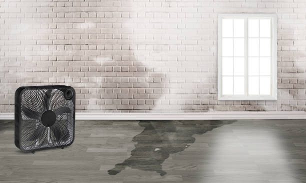 Reliable Fellsmere, FL Water damage restoration Solutions