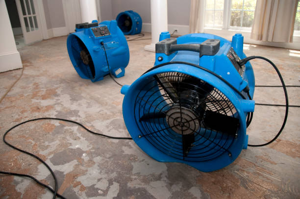 Best Flood restoration services  in Fellsmere, FL
