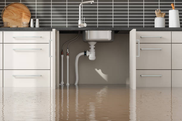 Best Water damage cleanup near me  in Fellsmere, FL
